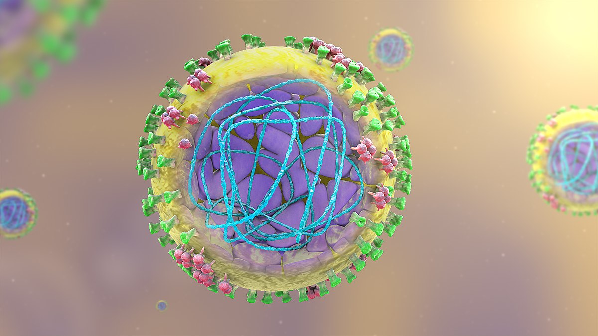 Virus H1N1