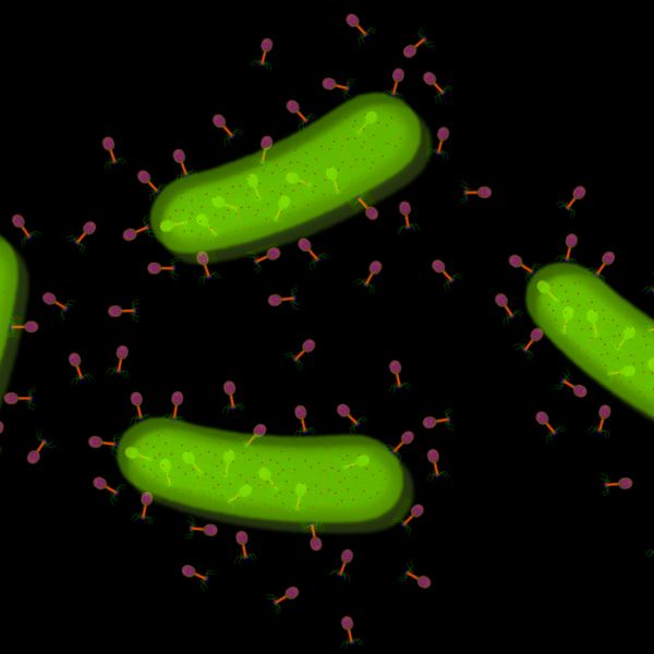 Cómete la sopa o vendrá el bacteriófago.