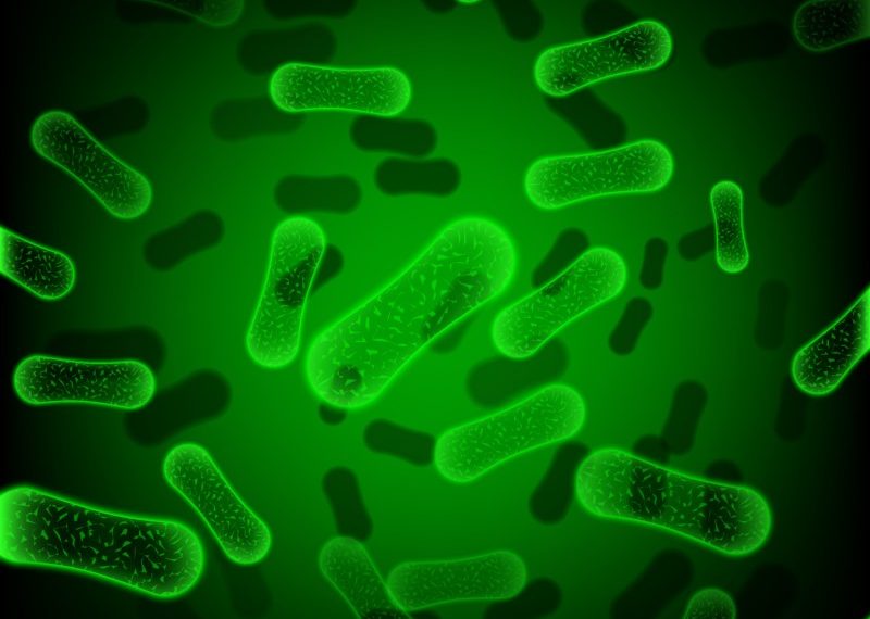 ¿Qué nombre le pondrás a tu microbio?