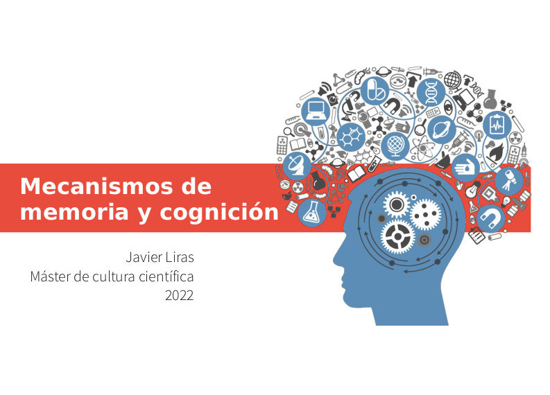 Mecanismo de memoria y cognición – presentación
