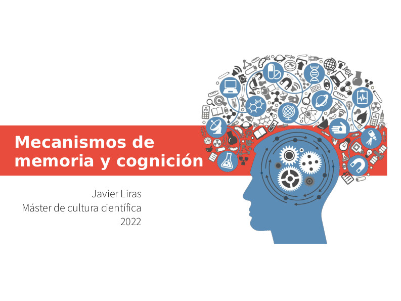 Mecanismo de memoria y cognición – presentación