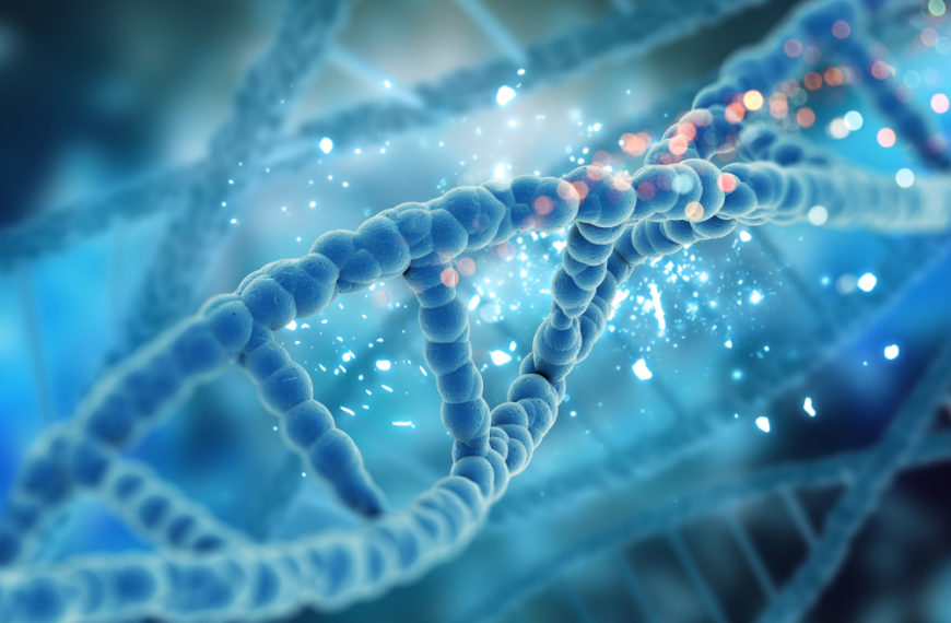 Mi prima la bacteria, emparentados por el código genético