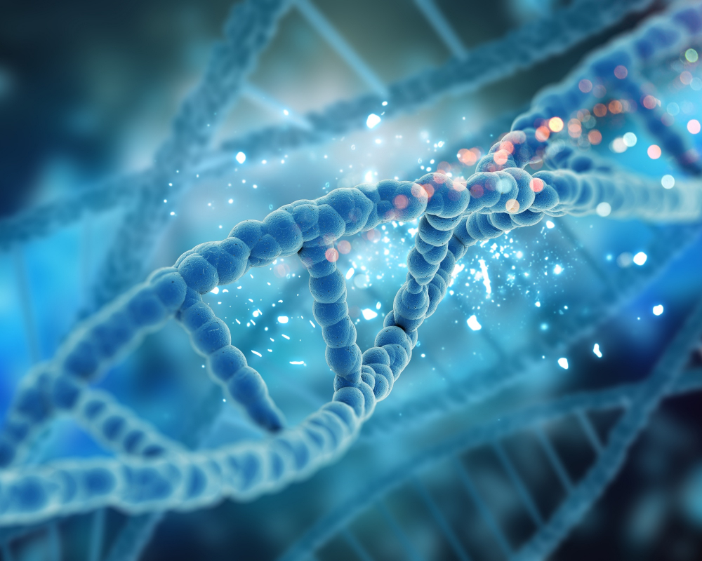 Mi prima la bacteria, emparentados por el código genético